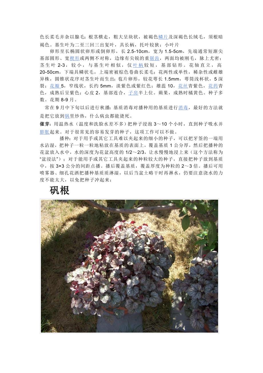 花卉相关资料汇总_第2页