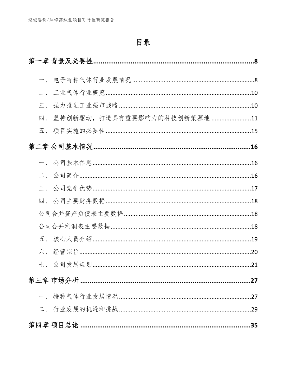 蚌埠高纯氢项目可行性研究报告模板范本_第1页