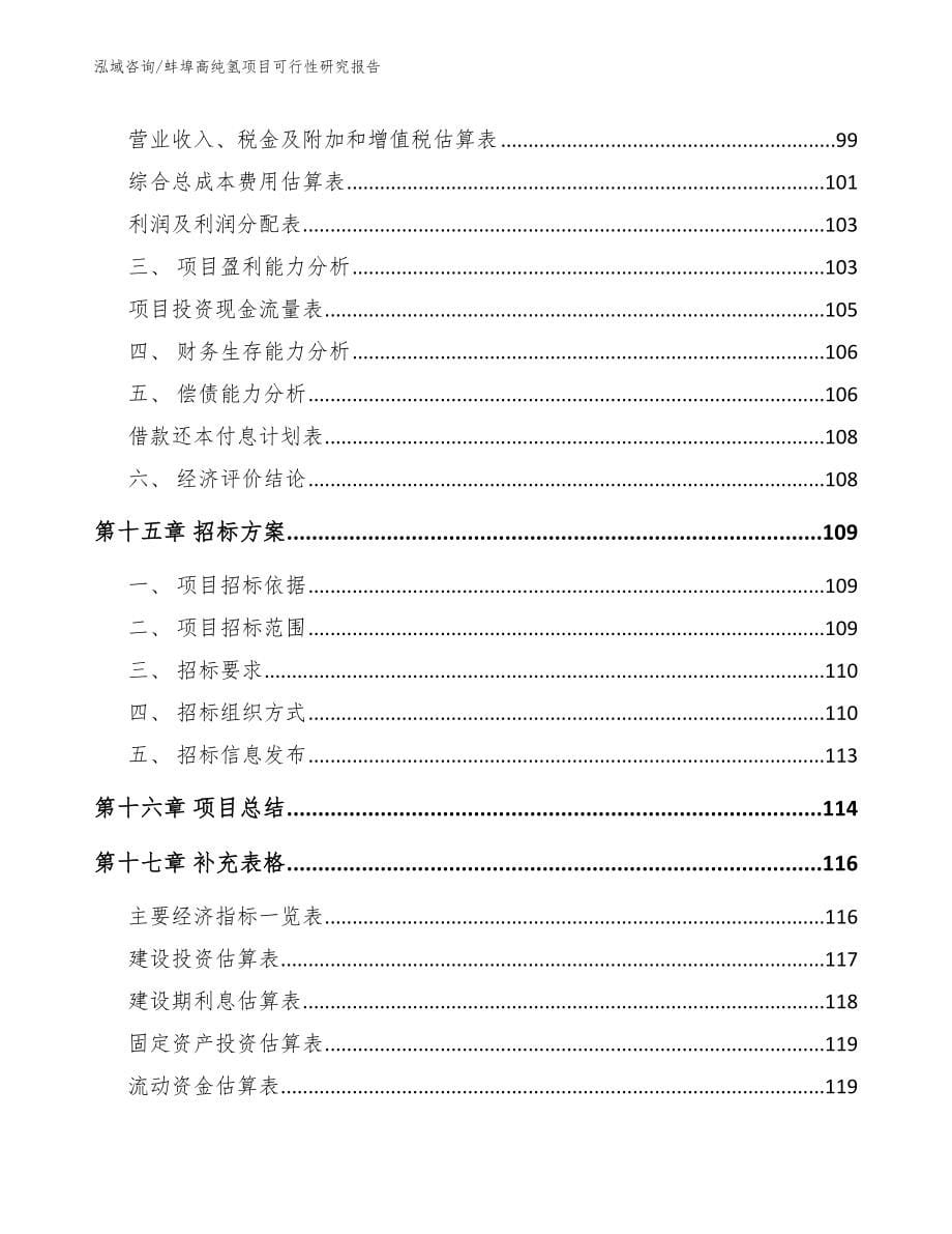 蚌埠高纯氢项目可行性研究报告模板范本_第5页