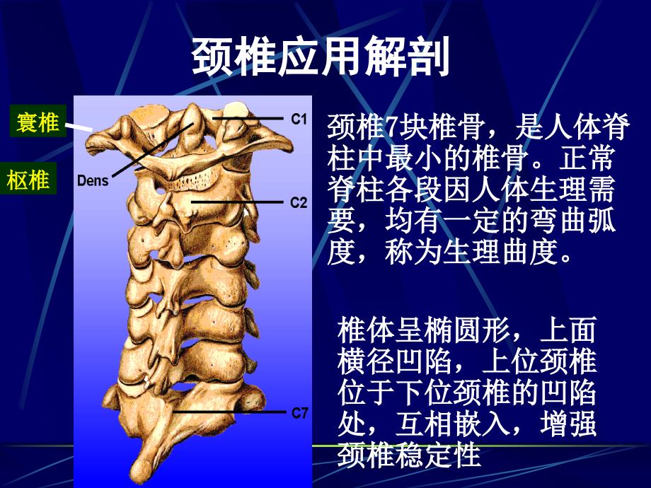 颈椎病诊疗及康复锻炼_第3页