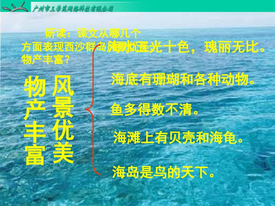 人教版三年级上册《22富饶的西沙群岛》第二课时_第3页