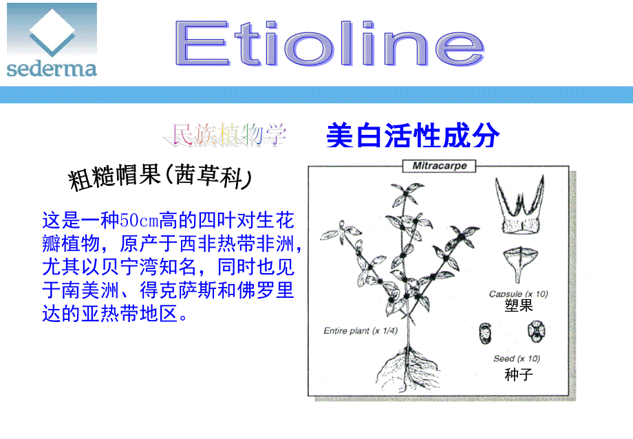 专利成分臻白因子EtiolineCHN_第3页