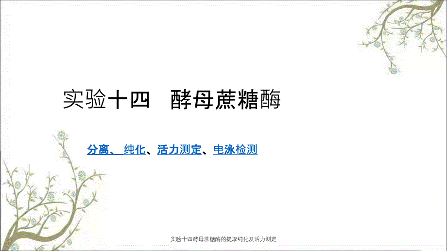 实验十四酵母蔗糖酶的提取纯化及活力测定_第1页