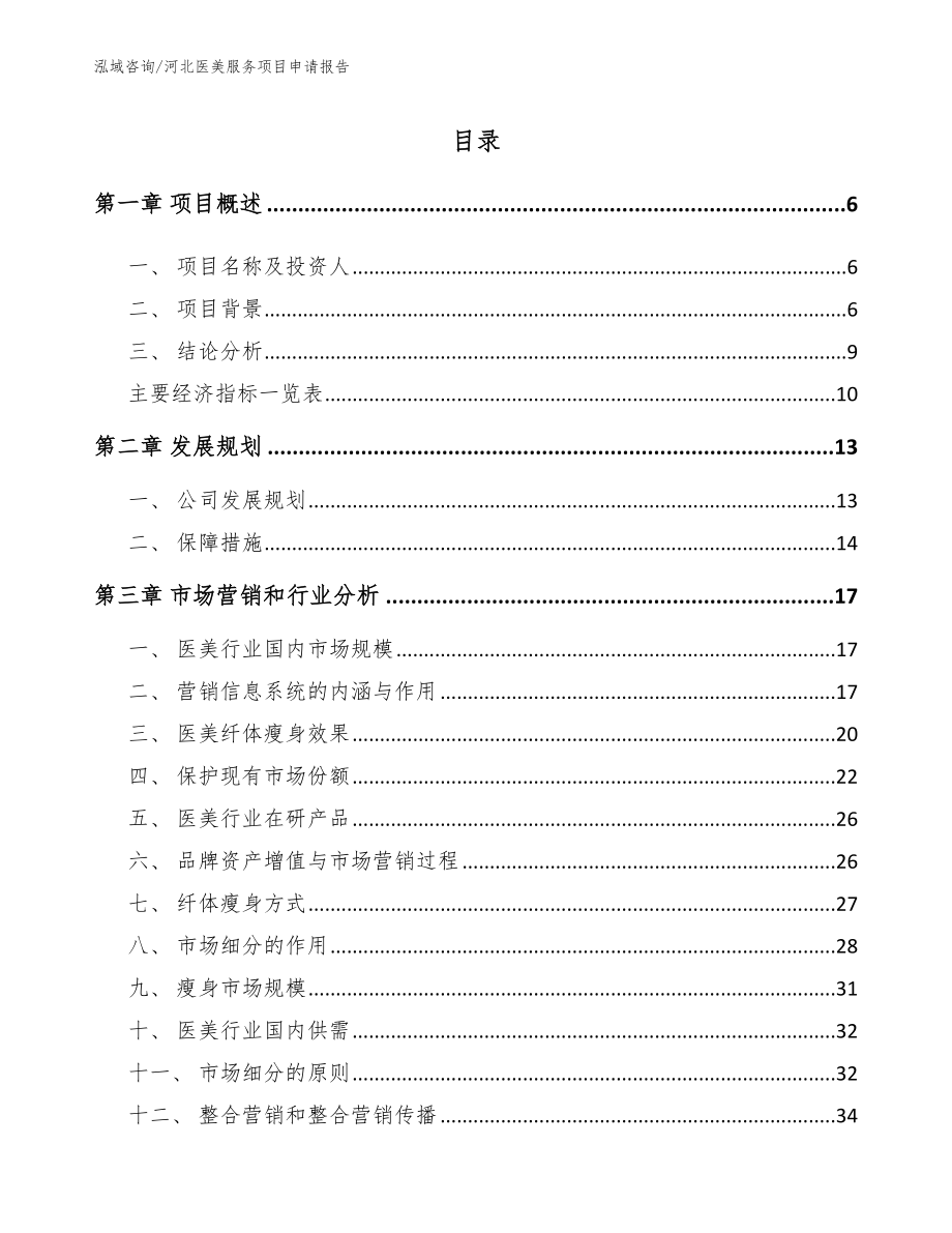 河北医美服务项目申请报告_第1页