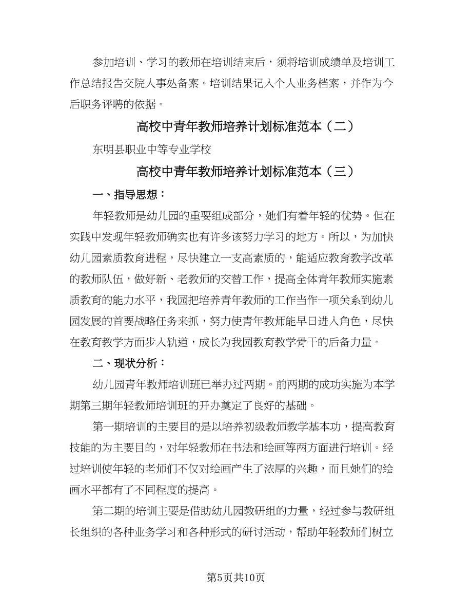 高校中青年教师培养计划标准范本（3篇）.doc_第5页