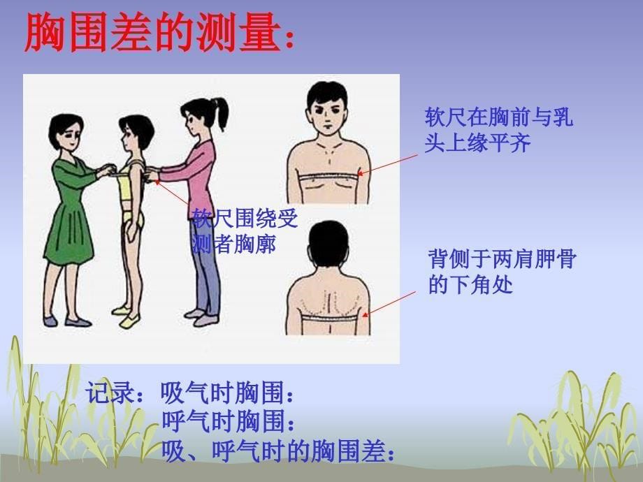 人教版生物七年级下册3.2发生在肺内的气体交换课件共14张PPT_第5页