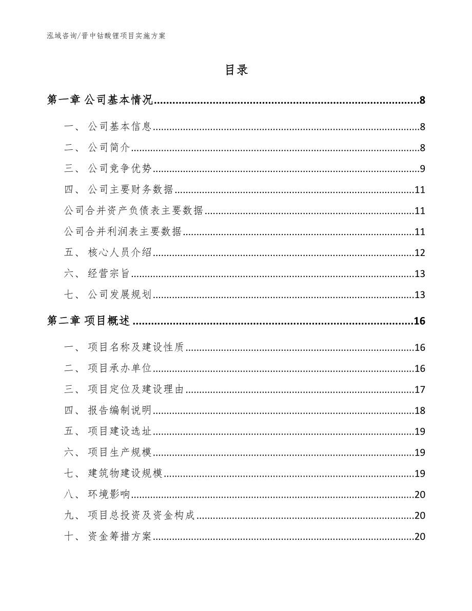 晋中钴酸锂项目实施方案参考范文_第2页