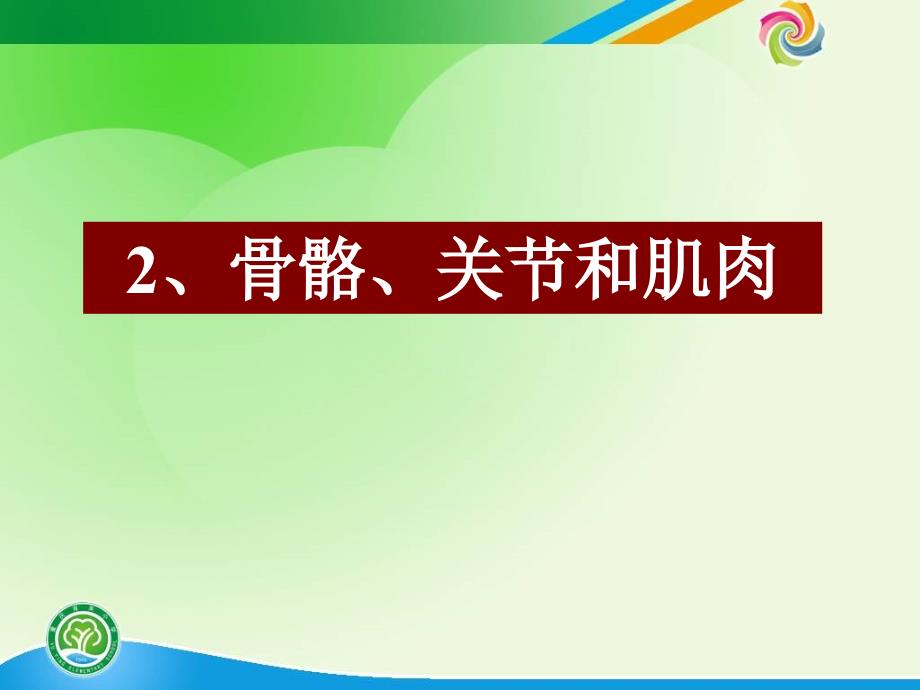 教科版科学四年级上册骨骼关节和肌肉_第1页