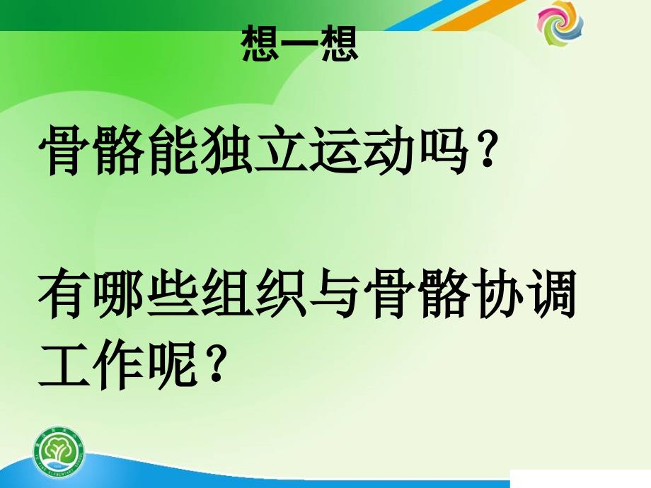 教科版科学四年级上册骨骼关节和肌肉_第3页