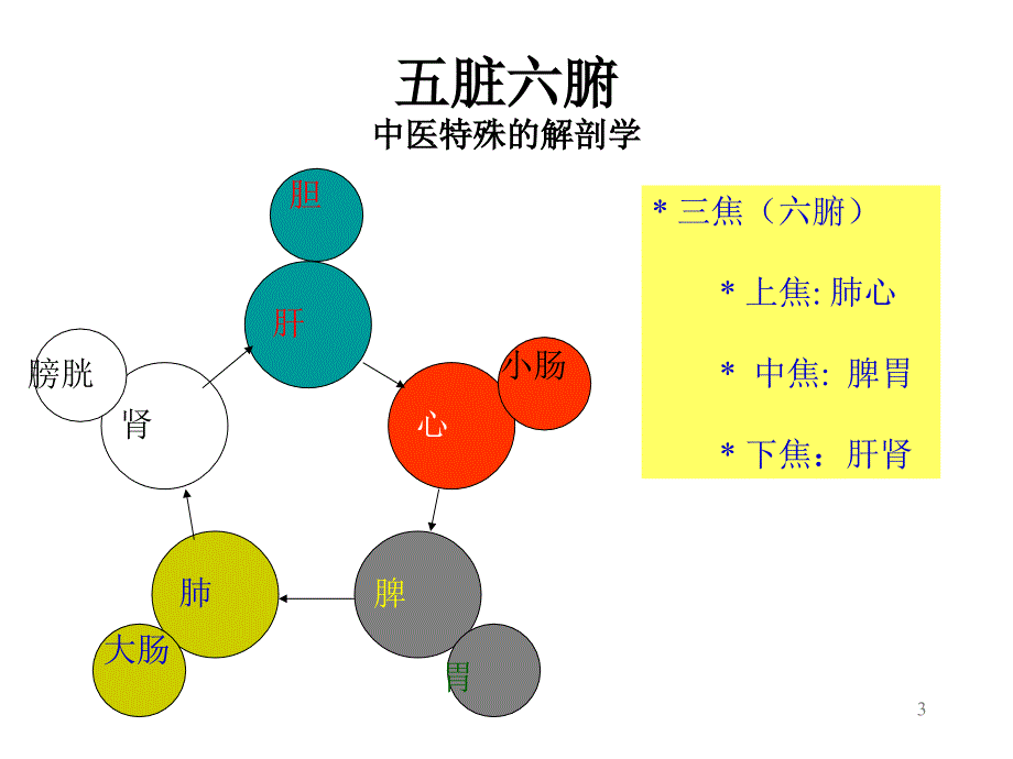 五脏六腑常识ppt课件_第3页