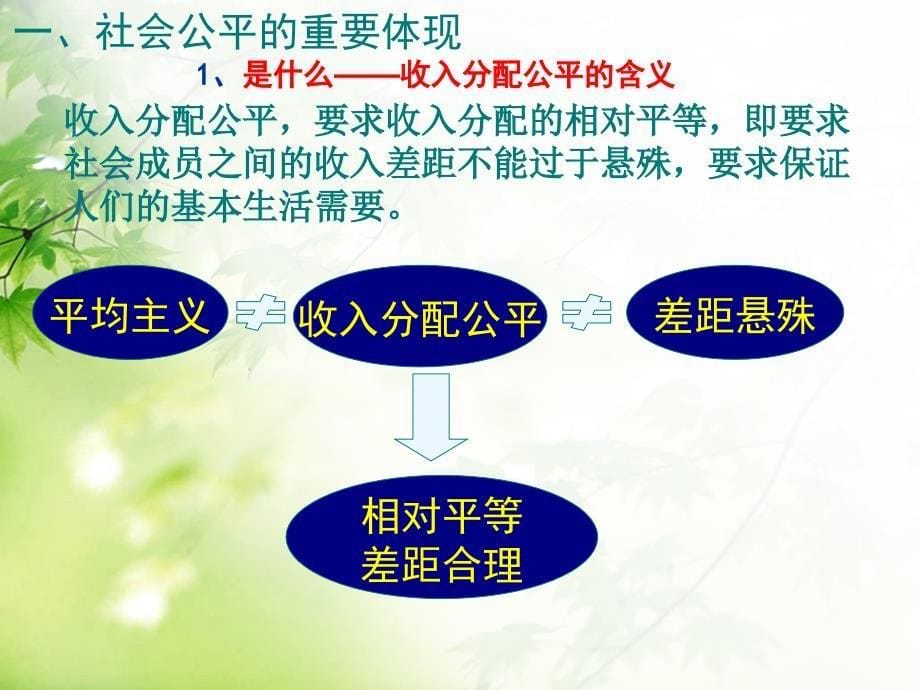 课改优质课收入分配与社会公平课件_第5页