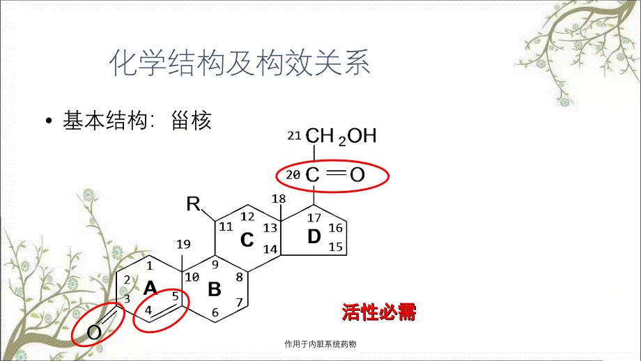 作用于内脏系统药物_第2页