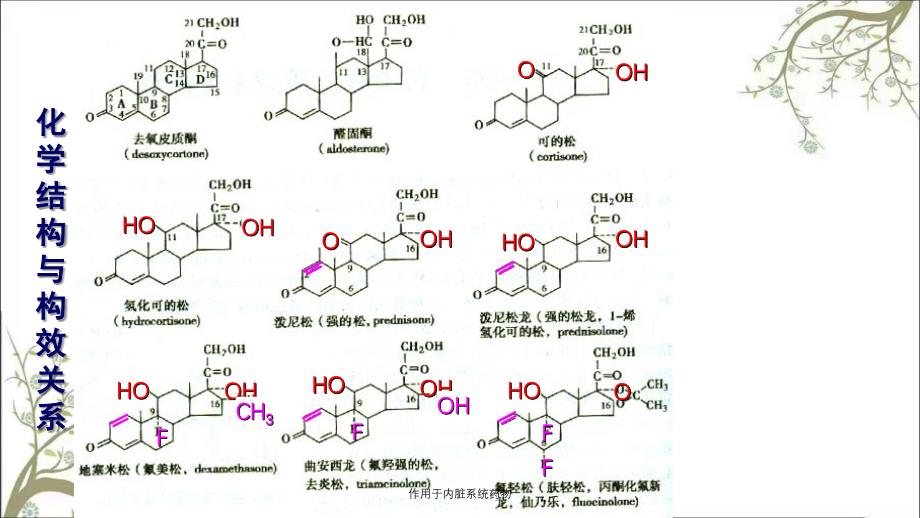 作用于内脏系统药物_第3页