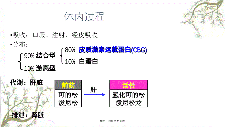 作用于内脏系统药物_第5页