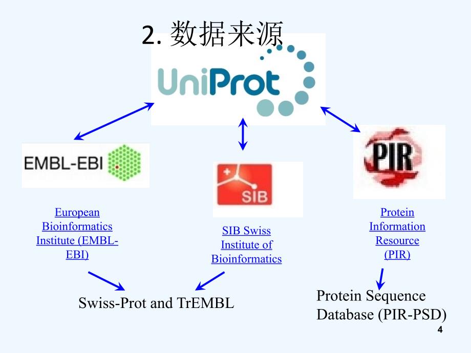 实验四蛋白质序列、结构的获取和显示_第4页