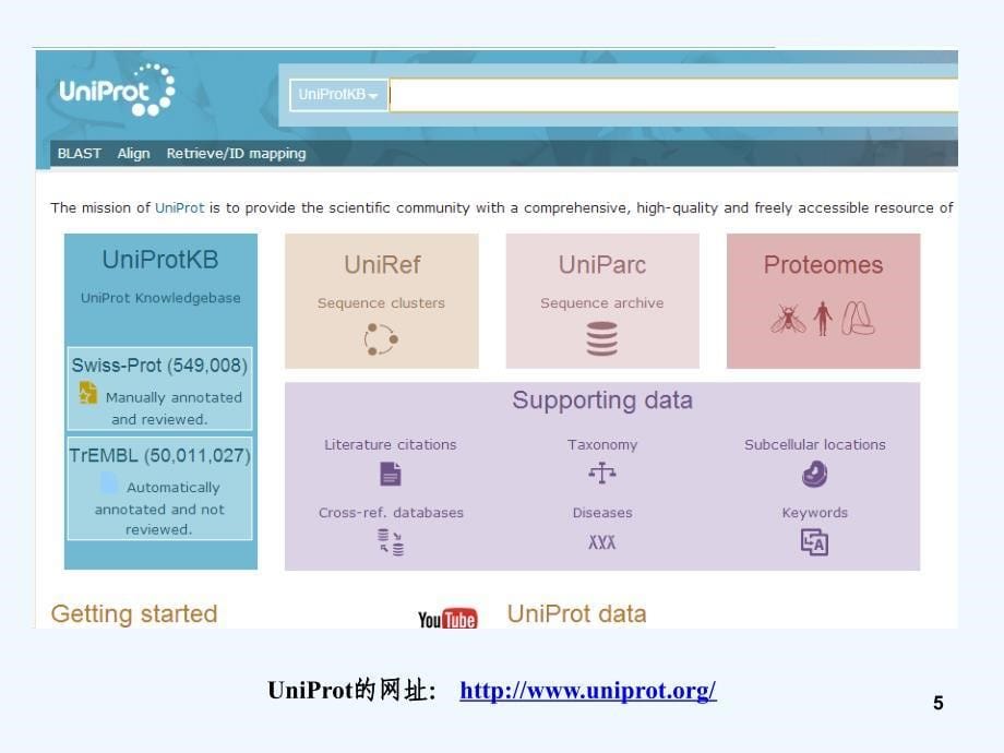 实验四蛋白质序列、结构的获取和显示_第5页