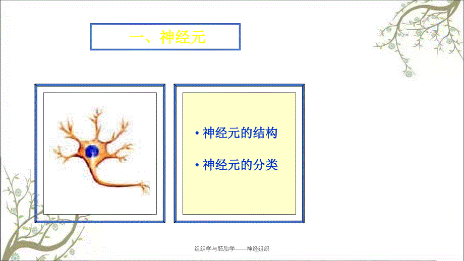 组织学与胚胎学——神经组织_第4页