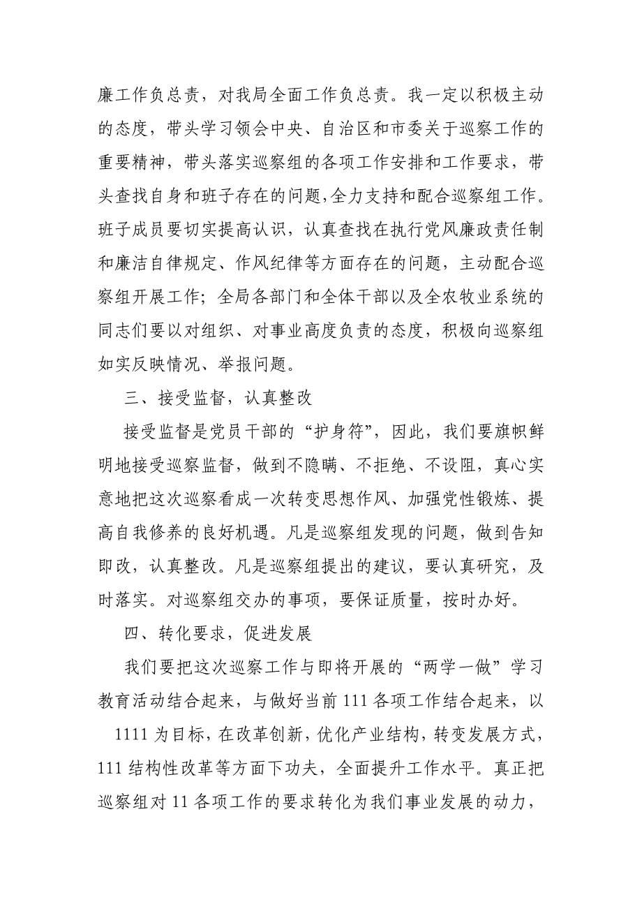 在巡视动员大会上的表态发言.doc_第5页