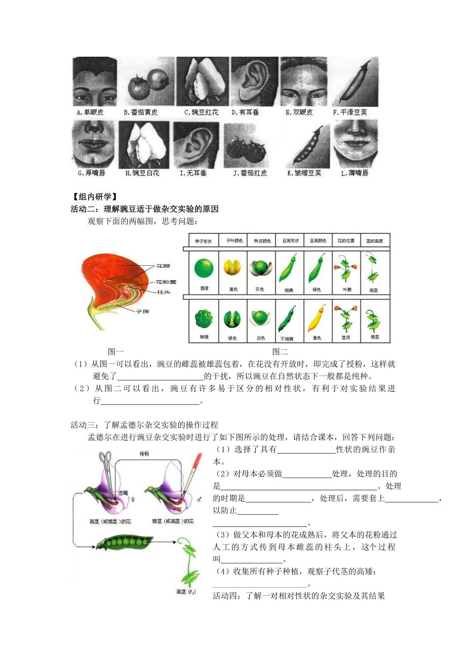 江苏省南通市高中生物 第1章 遗传因子的发现 第1课时 孟德尔豌豆杂交实验一1导学案无答案新人教版必修2_第2页