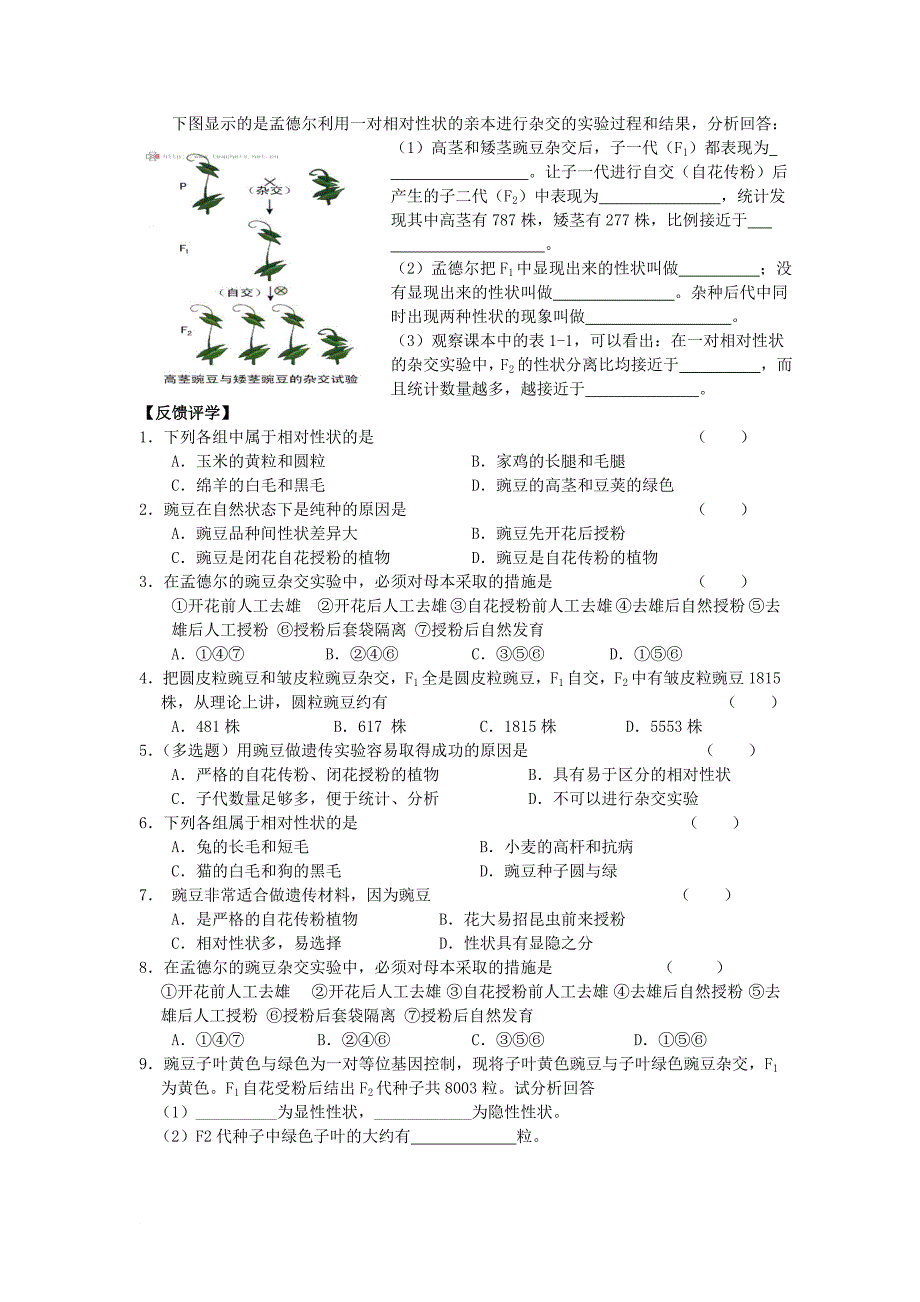 江苏省南通市高中生物 第1章 遗传因子的发现 第1课时 孟德尔豌豆杂交实验一1导学案无答案新人教版必修2_第3页