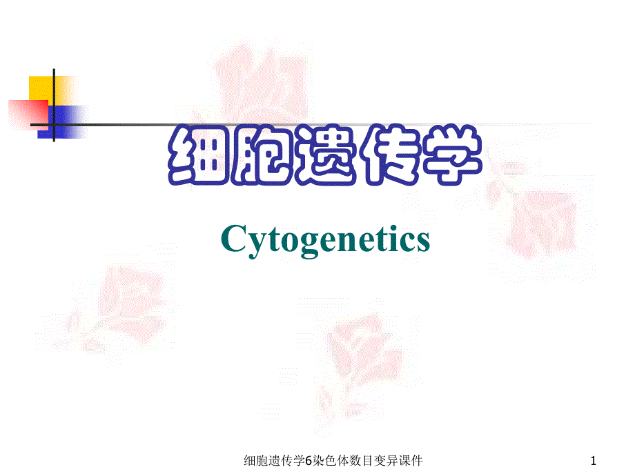 细胞遗传学6染色体数目变异课件_第1页