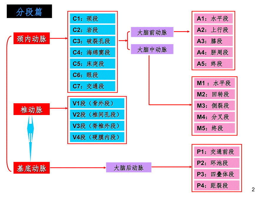 脑部血管解剖图解影像学PPT演示课件_第2页