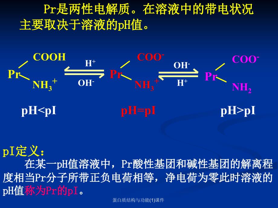 蛋白质结构与功能(1)课件_第3页