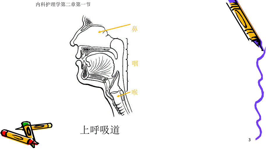 优质课件内科学护理呼吸系统常见症状_第3页