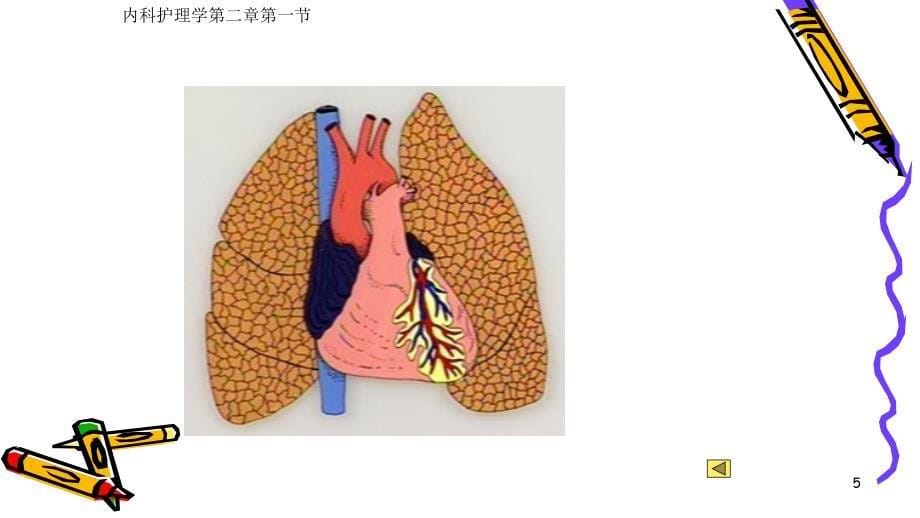 优质课件内科学护理呼吸系统常见症状_第5页