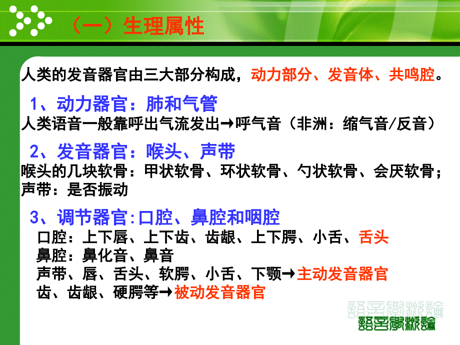 汉语言文学专业语言学课件_第5页