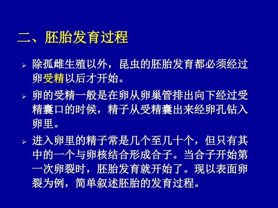 第十一部分昆虫的胚胎发育_第5页