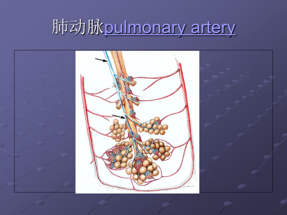 胸部常见CT征象认读._第4页