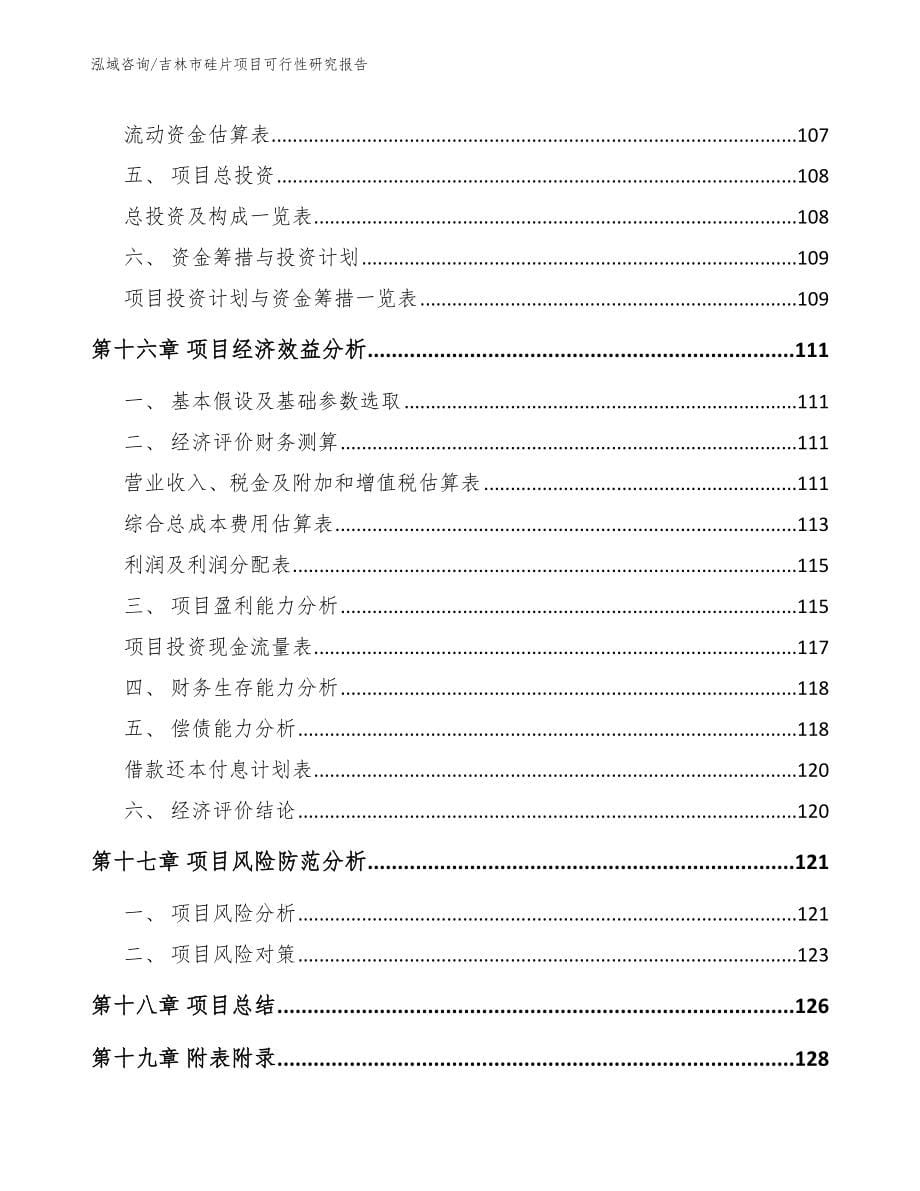 吉林市硅片项目可行性研究报告_参考范文_第5页