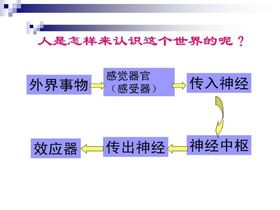 信息检索第一章信息的基本知识_第4页