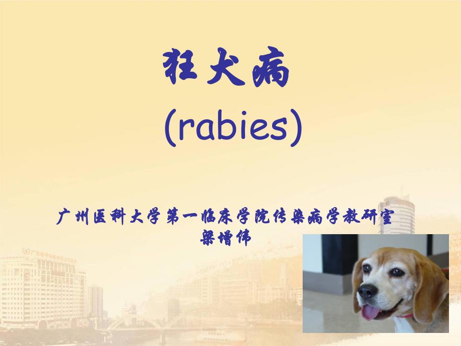 传染病学课件：狂犬病_第1页