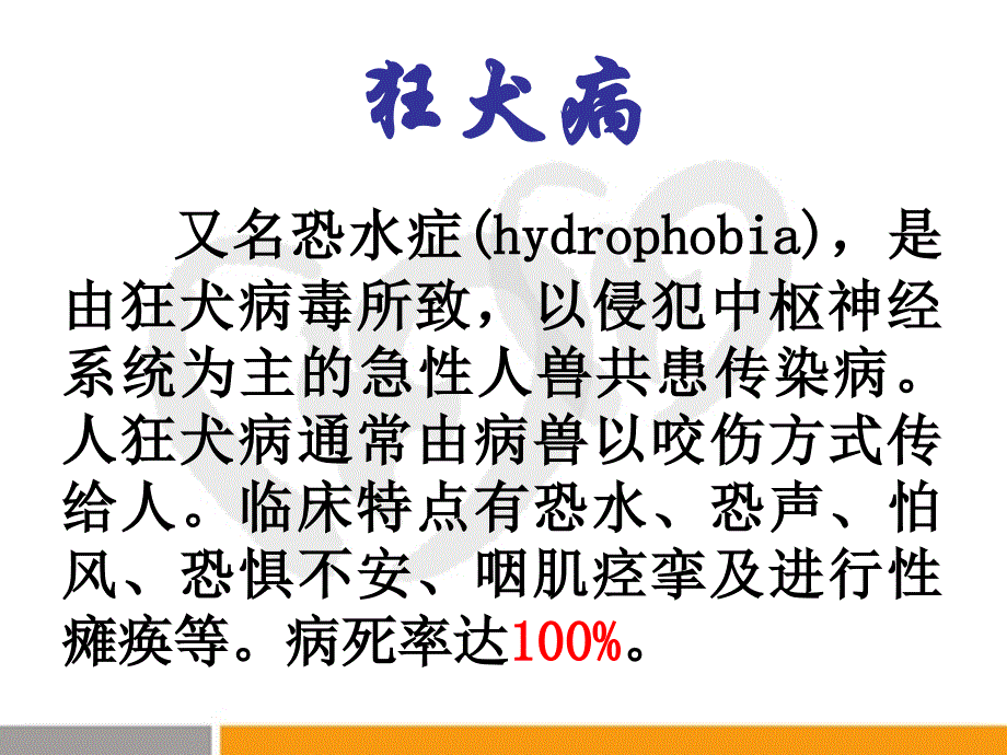 传染病学课件：狂犬病_第2页