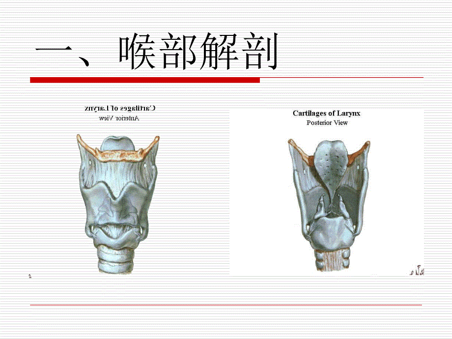 实用气管插管术PPT课件_第1页