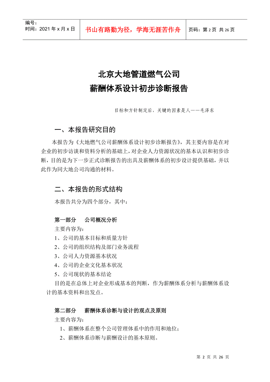 大地公司初步诊断报告_第2页