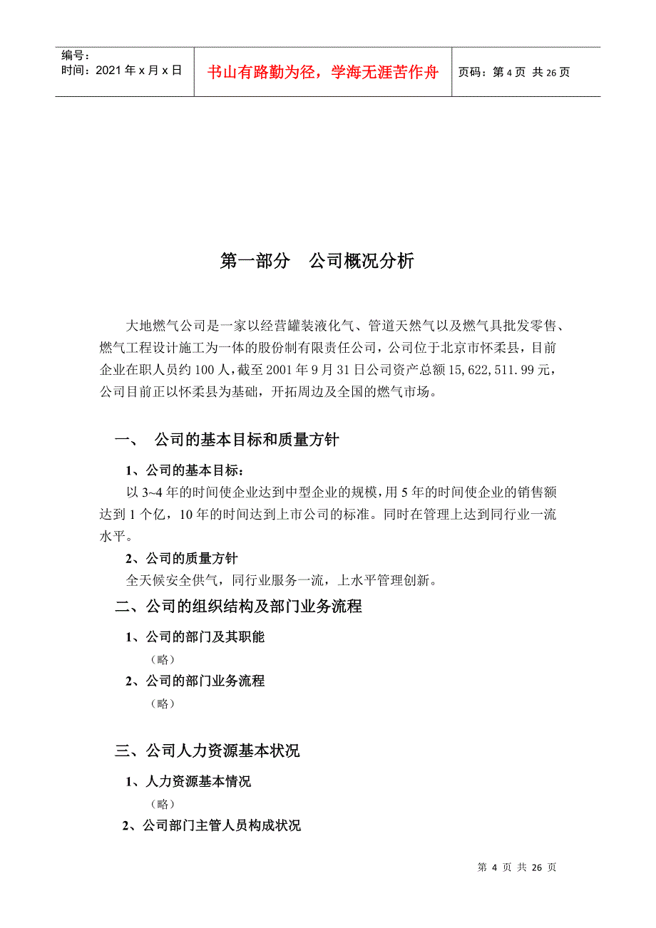 大地公司初步诊断报告_第4页