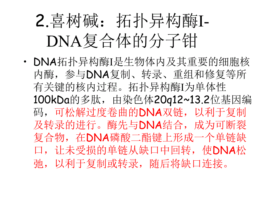 喜树碱的药物设计,靶向癌细胞死亡与基因PPT文档资料_第4页