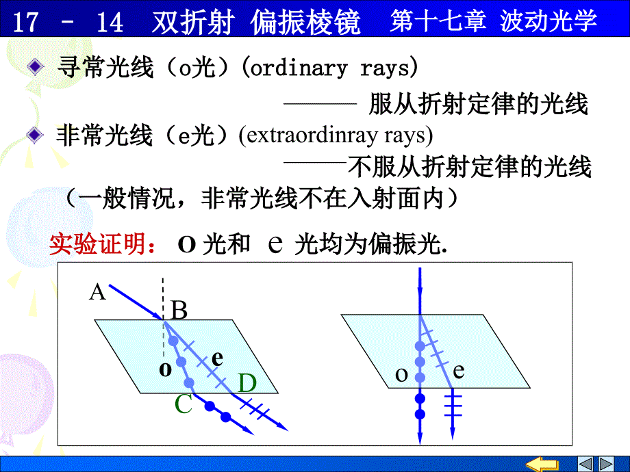 大学物理：17-14双折射 偏振棱镜_第3页