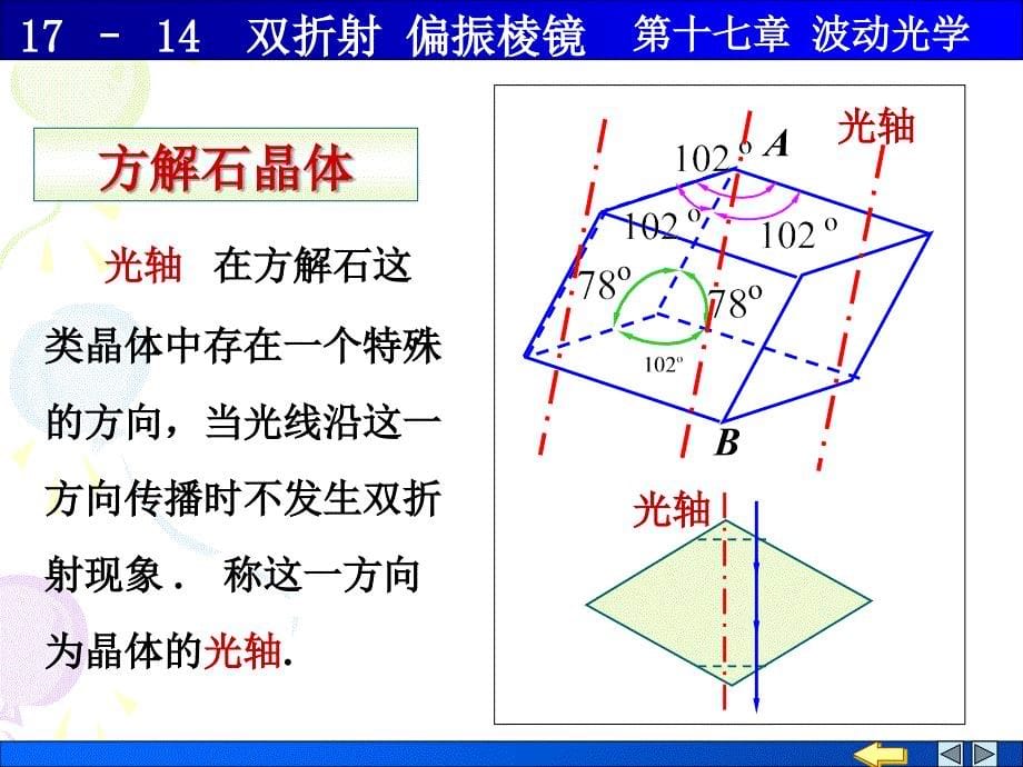 大学物理：17-14双折射 偏振棱镜_第5页