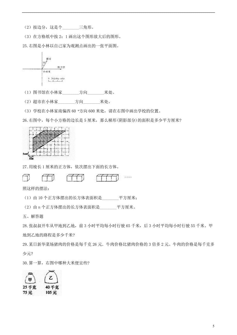 小升初数学毕业模拟考试卷(含解析)_第5页