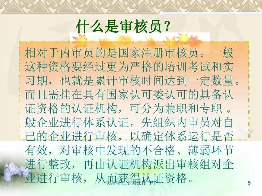 ISO9001质量管理体系案例分析_第5页