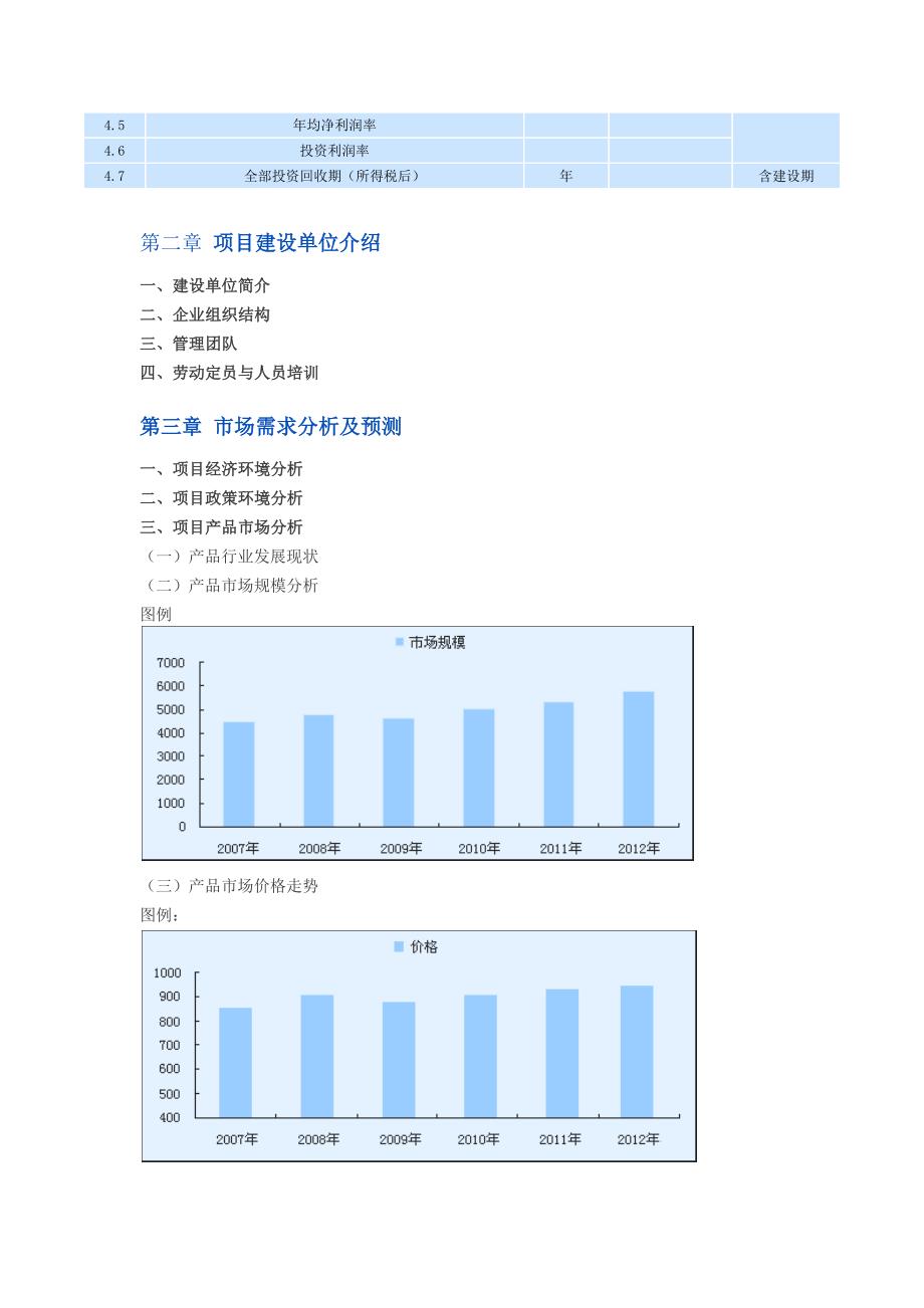 项目评估报告.docx_第2页