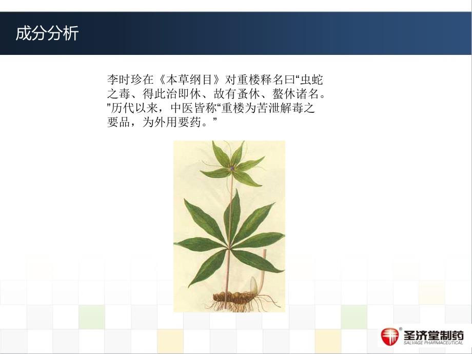 重楼解毒酊pt课件_第4页