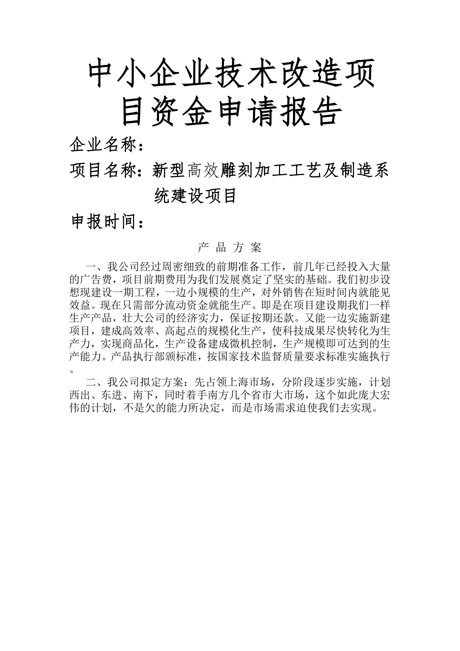 中小企业技术改造项目资金申请报告书.doc_第1页