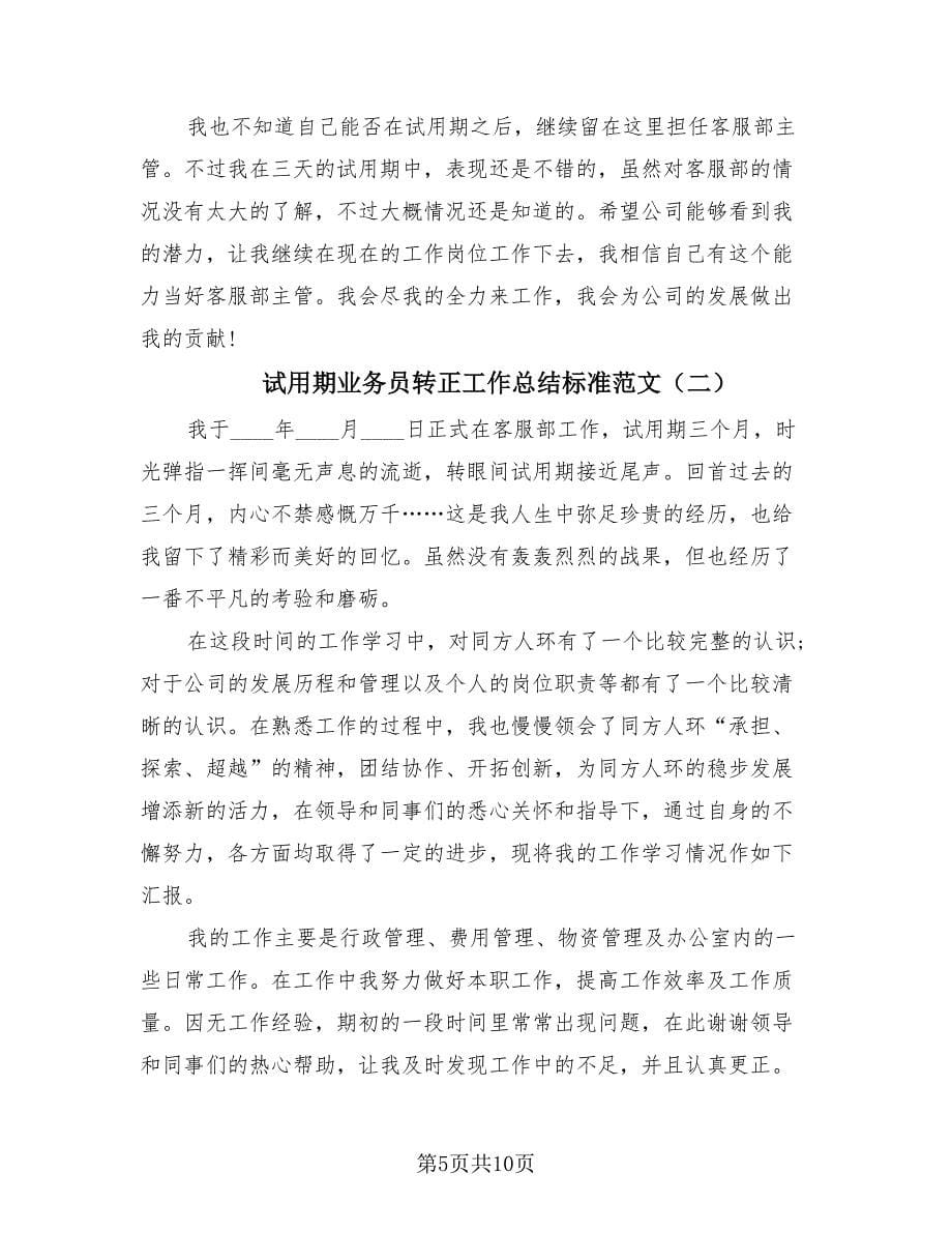 试用期业务员转正工作总结标准范文（3篇）.doc_第5页