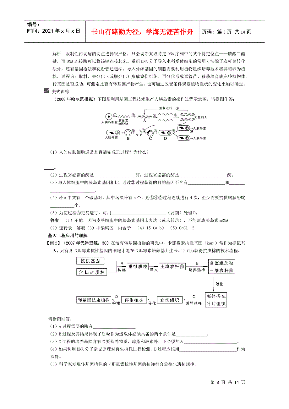 第34课时 基因工程_第3页