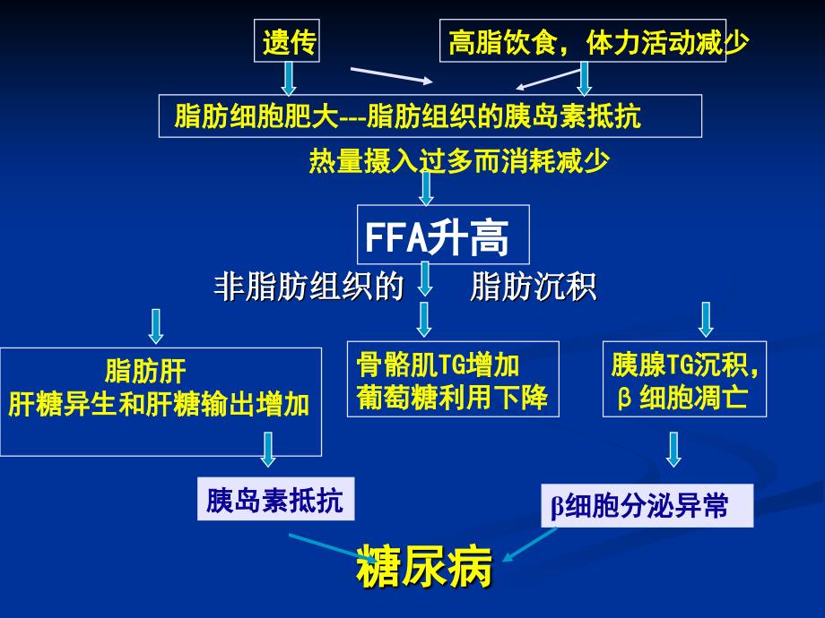 糖尿病研究的新进展.ppt_第3页